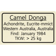 Camel Donga
