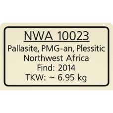 NWA 10023