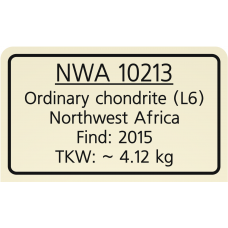 NWA 10213