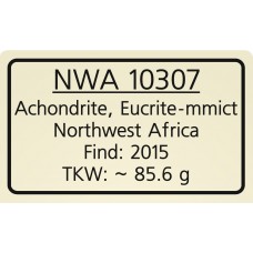 NWA 10307