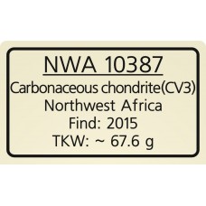 NWA 10387