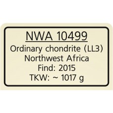 NWA 10499