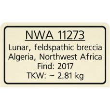 NWA 11273