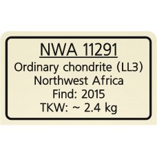 NWA 11291