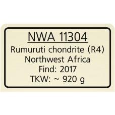 NWA 11304