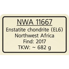 NWA 11667