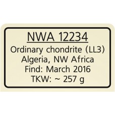 NWA 12234
