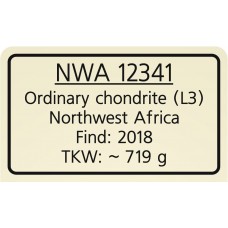 NWA 12341