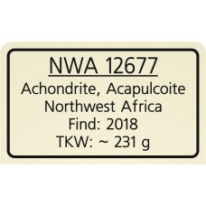 NWA 12677