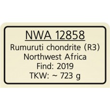 NWA 12858