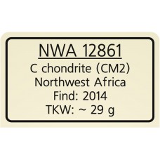 NWA 12861