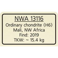 NWA 13116