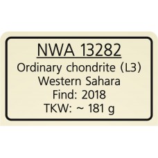 NWA 13282