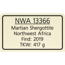 NWA 13366