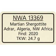 NWA 13369