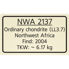 NWA 2137