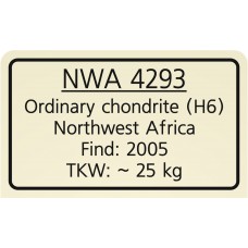 NWA 4293