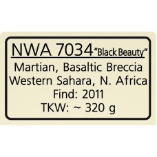 NWA 7034 "Black Beauty"