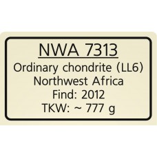 NWA 7313