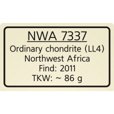 NWA 7337 