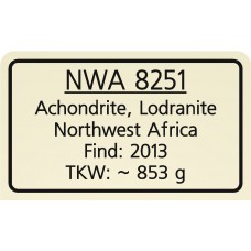 NWA 8251