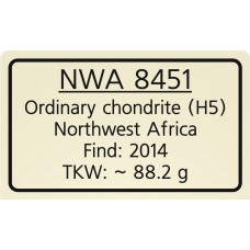 NWA 8451