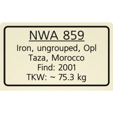 NWA 859
