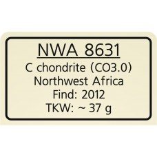 NWA 8631