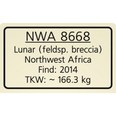NWA 8668 